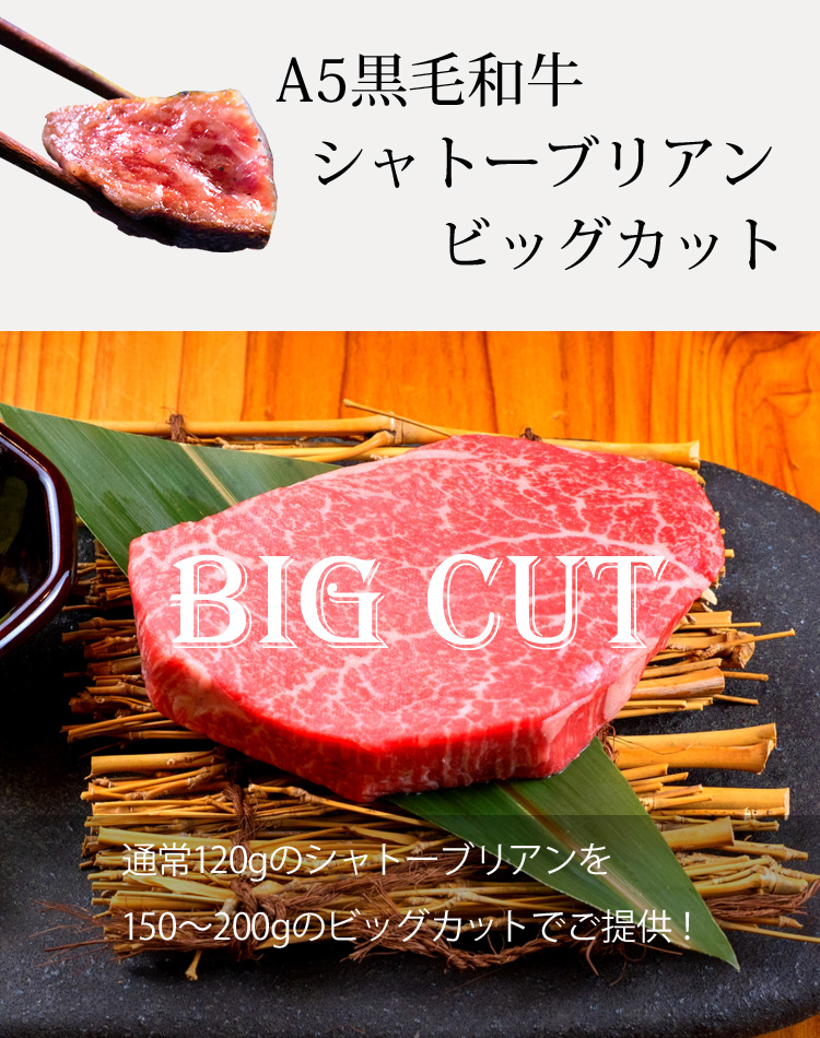 ちゃぶ　巨大スプーン ちゃぶ様専用 巨大スプーン 銀閣寺大西 公式通販 / TOPページ